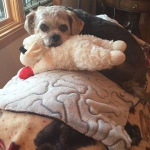 Meet your Posher, Donna